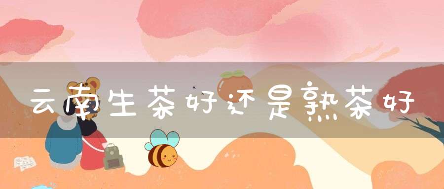 云南生茶好还是熟茶好