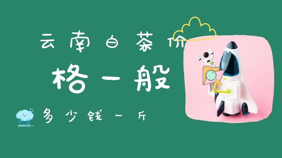 云南白茶价格一般多少钱一斤