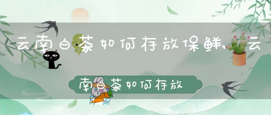 云南白茶如何存放保鲜,云南白茶如何存放时间长