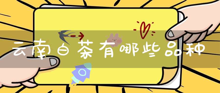 云南白茶有哪些品种