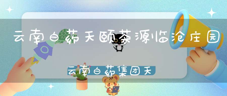 云南白药天颐茶源临沧庄园云南白药集团天颐茶品