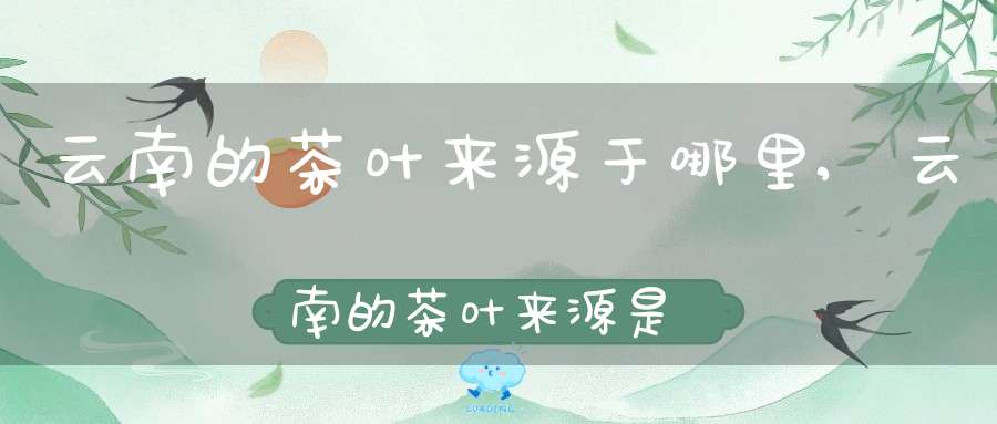 云南的茶叶来源于哪里,云南的茶叶来源是什么
