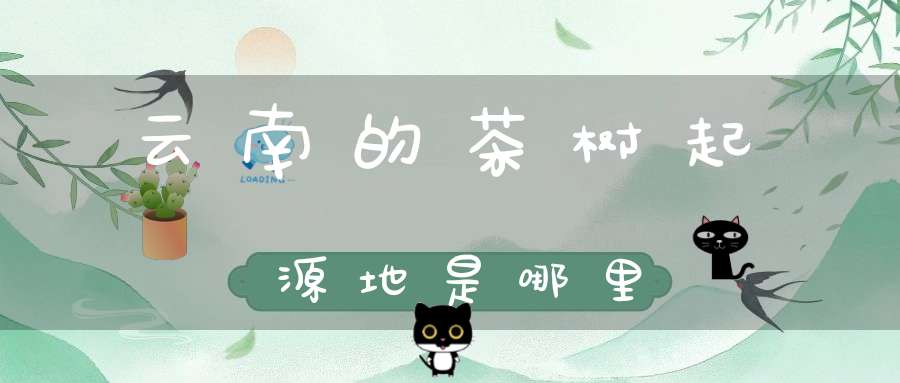 云南的茶树起源地是哪里