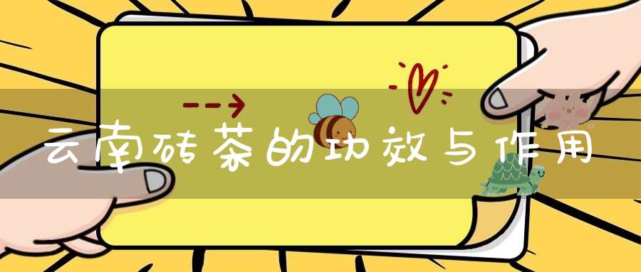 云南砖茶的功效与作用