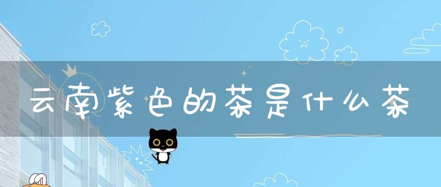 云南紫色的茶是什么茶