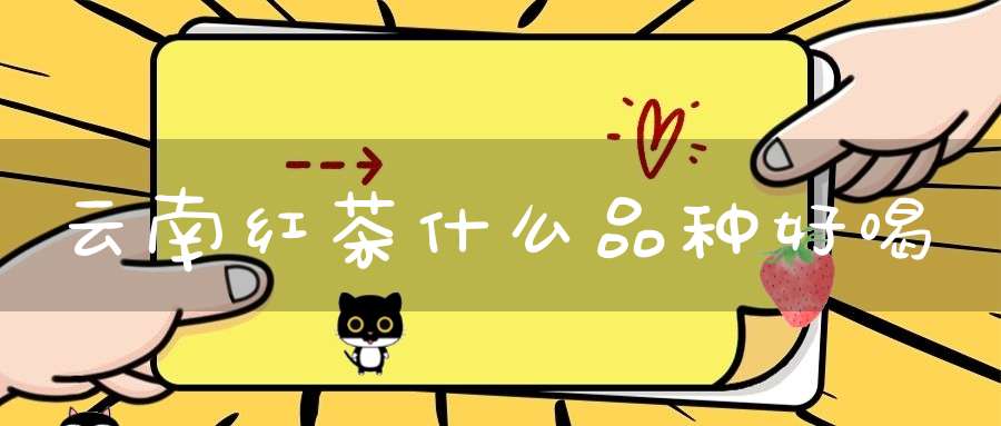 云南红茶什么品种好喝