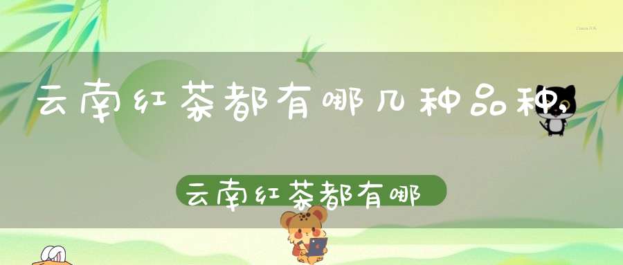 云南红茶都有哪几种品种,云南红茶都有哪几种品牌