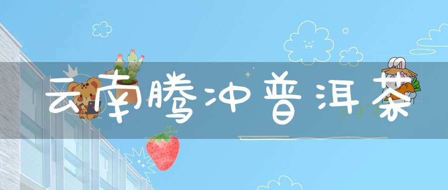 云南腾冲普洱茶