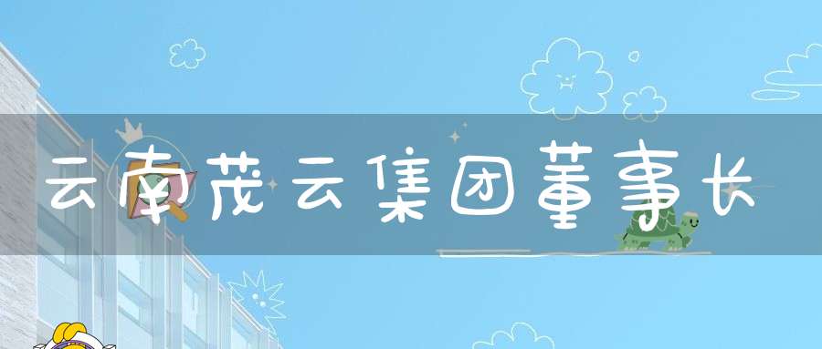 云南茂云集团董事长
