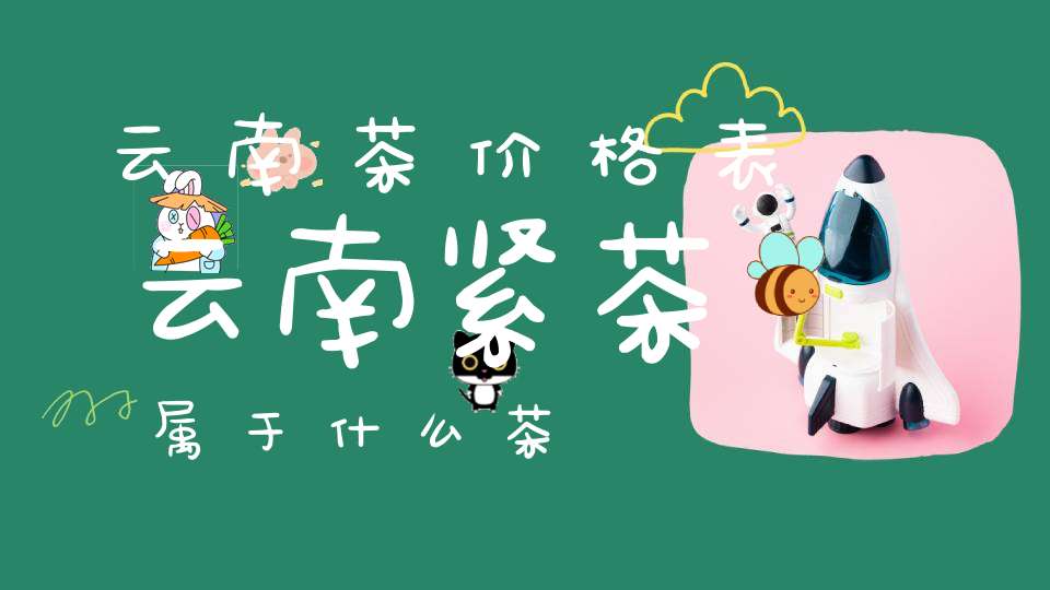 云南茶价格表云南紧茶属于什么茶