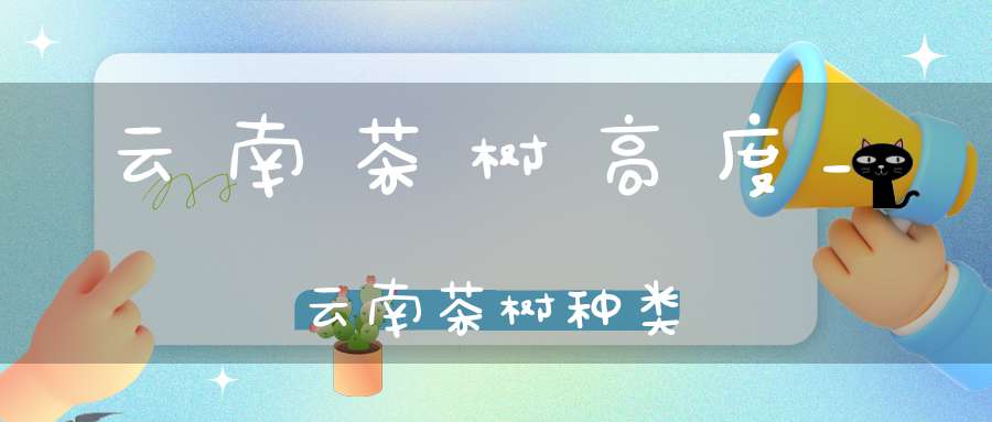 云南茶树高度_云南茶树种类