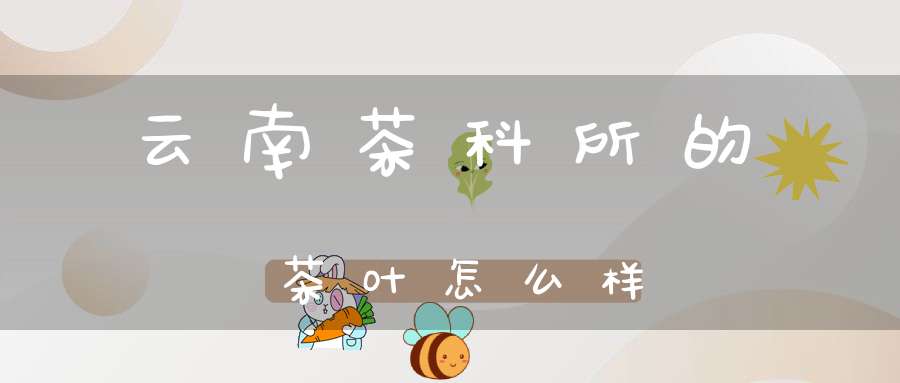 云南茶科所的茶叶怎么样