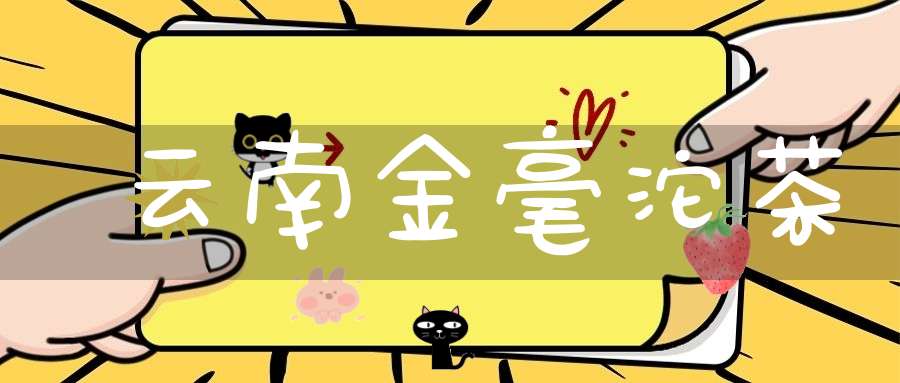 云南金毫沱茶