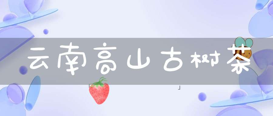 云南高山古树茶
