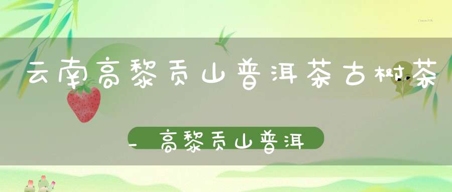 云南高黎贡山普洱茶古树茶_高黎贡山普洱生茶多少钱
