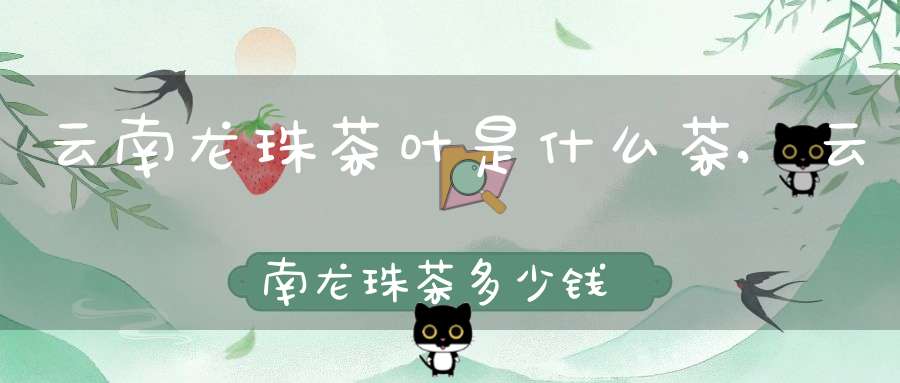 云南龙珠茶叶是什么茶,云南龙珠茶多少钱一斤