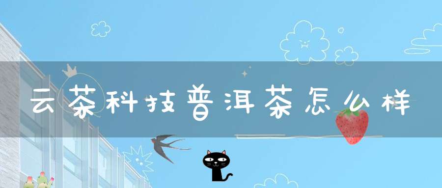 云茶科技普洱茶怎么样
