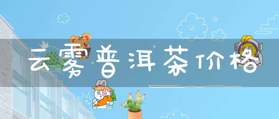 云雾普洱茶价格