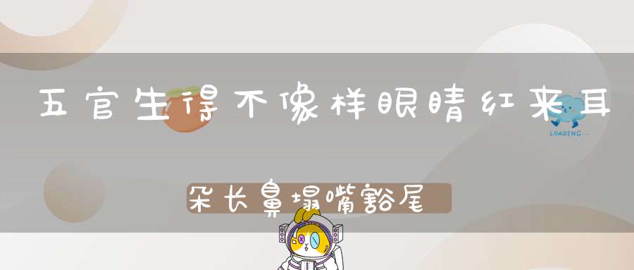 五官生得不像样，眼睛红来耳朵长，鼻塌嘴豁尾巴短，后腿却比前腿长。 （猜一动物）