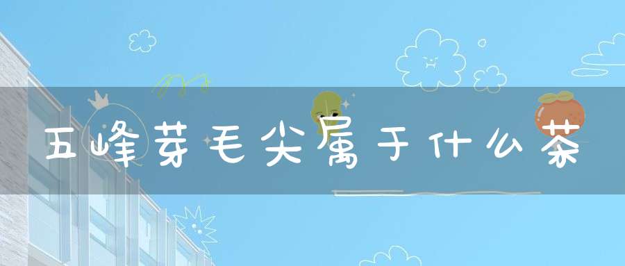 五峰芽毛尖属于什么茶