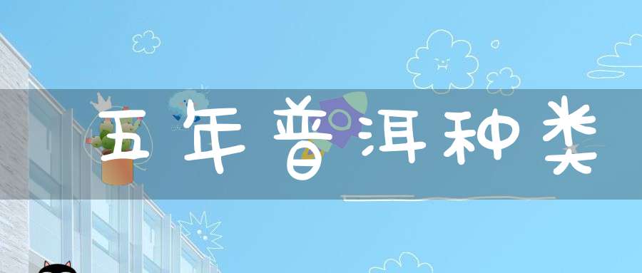 五年普洱种类