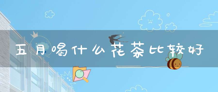 五月喝什么花茶比较好