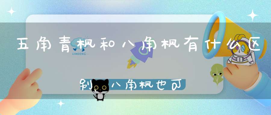 五角青枫和八角枫有什么区别、八角枫也可以嫁接红？