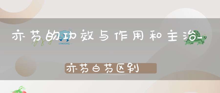 亦芍的功效与作用和主治_亦芍白芍区别