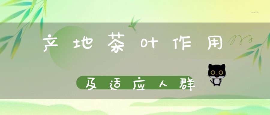产地茶叶作用及适应人群