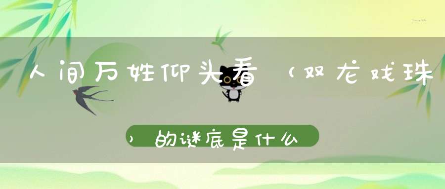 人间万姓仰头看 （双龙戏珠）的谜底是什么?