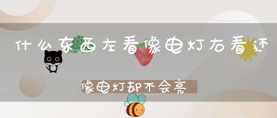 什么东西左看像电灯，右看还像电灯，却不会亮