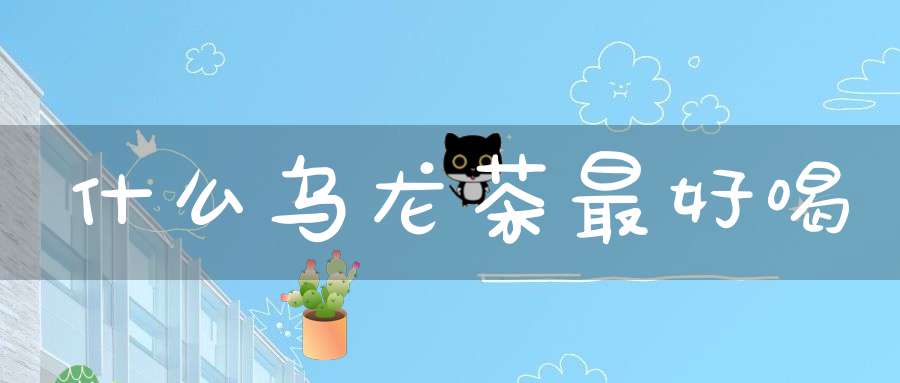 什么乌龙茶最好喝