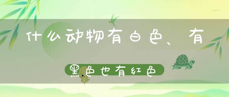 什么动物有白色、有黑色，也有红色