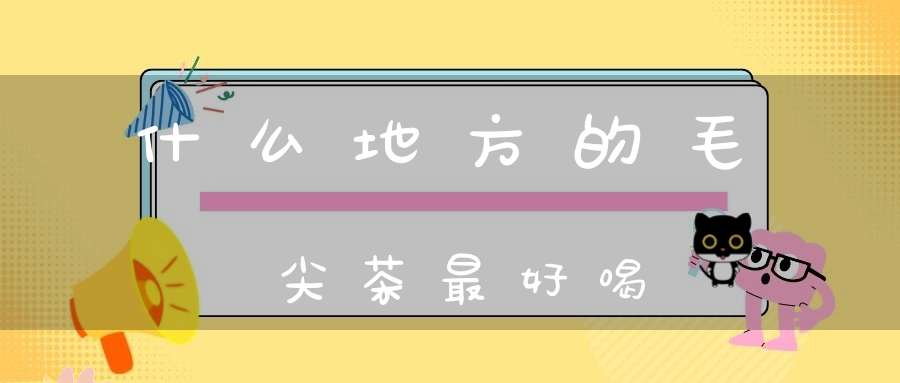 什么地方的毛尖茶最好喝