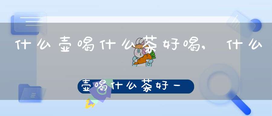 什么壶喝什么茶好喝,什么壶喝什么茶好一点