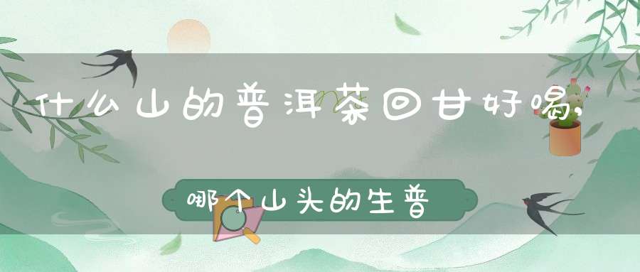 什么山的普洱茶回甘好喝,哪个山头的生普回甘最好