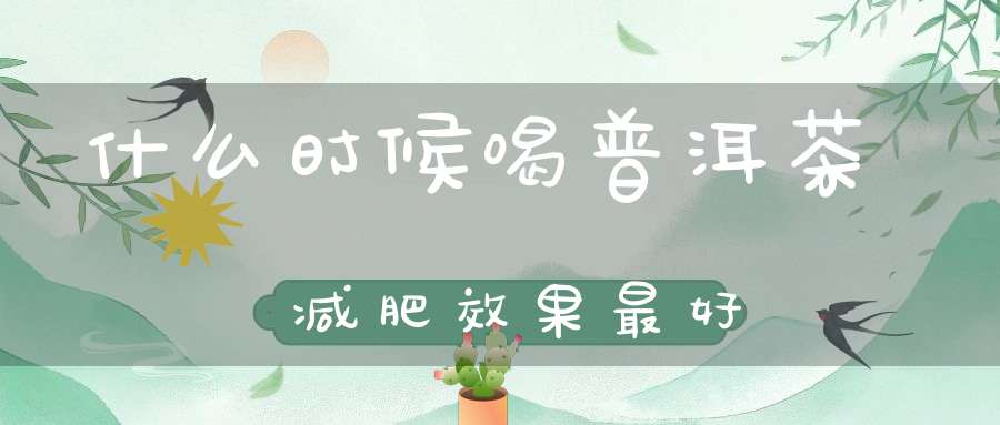什么时候喝普洱茶减肥效果最好