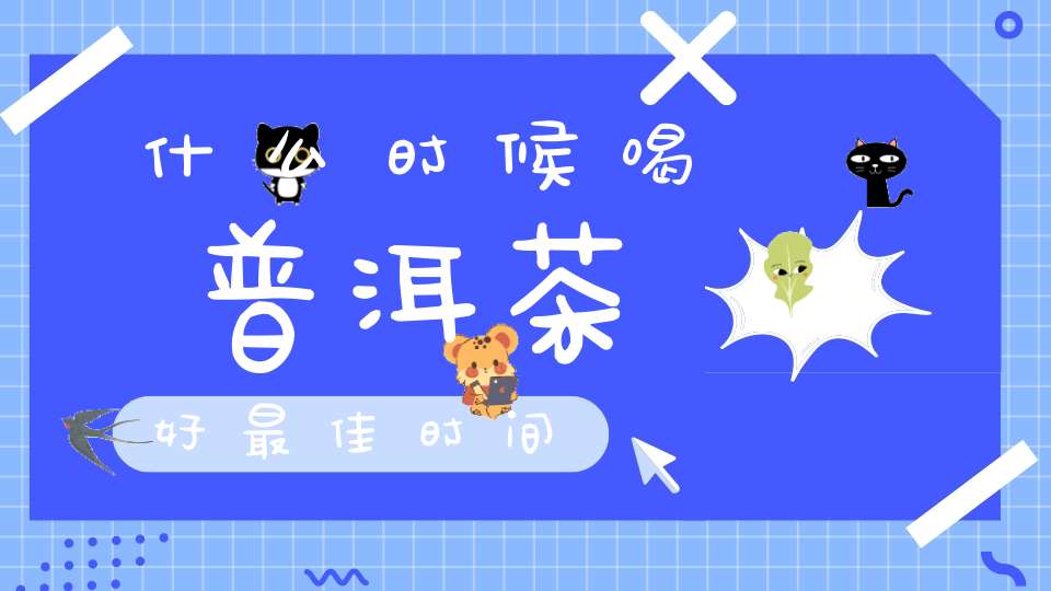 什么时候喝普洱茶好最佳时间