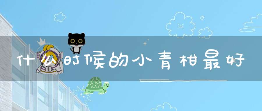 什么时候的小青柑最好