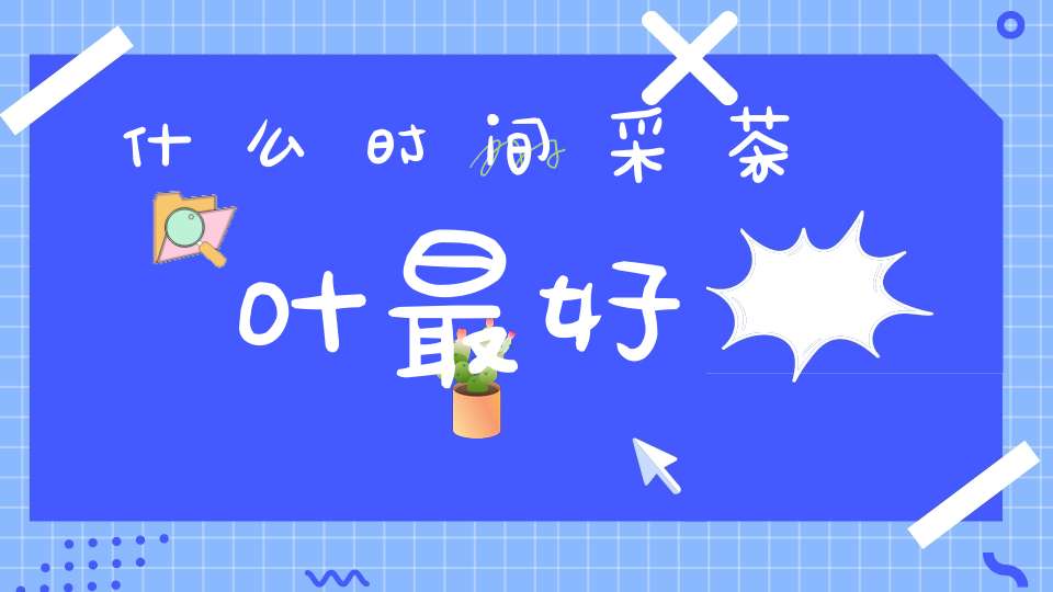 什么时间采茶叶最好