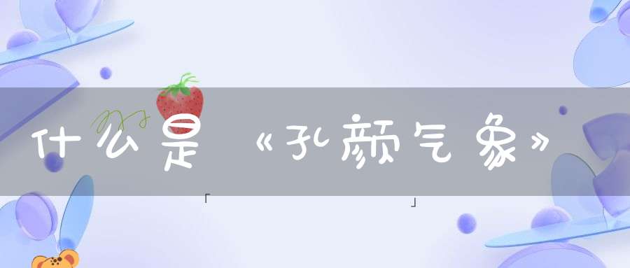 什么是《孔颜气象》