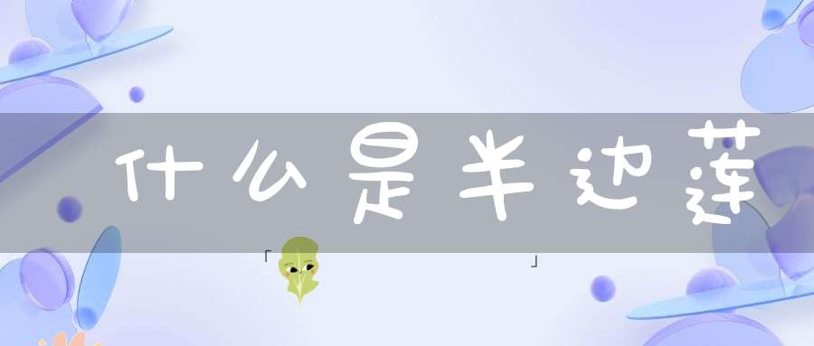 什么是半边莲？