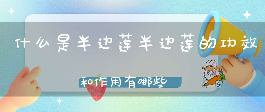 什么是半边莲半边莲的功效和作用有哪些？