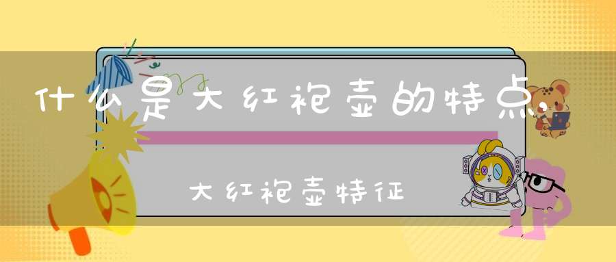 什么是大红袍壶的特点,大红袍壶特征