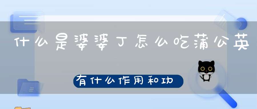 什么是婆婆丁怎么吃蒲公英有什么作用和功效？