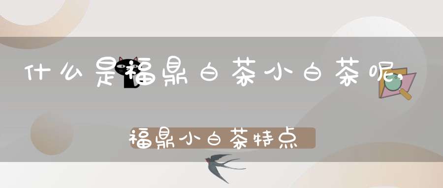 什么是福鼎白茶小白茶呢,福鼎小白茶特点
