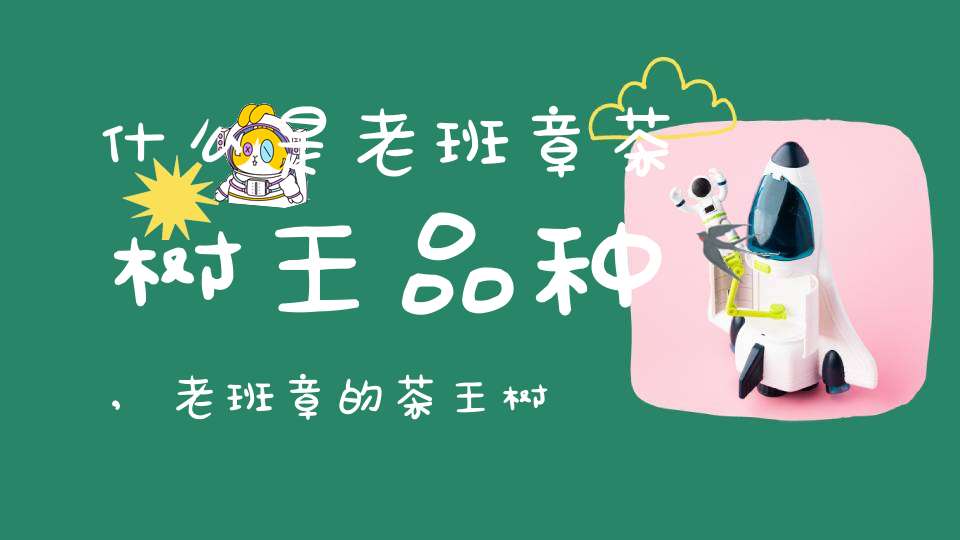 什么是老班章茶树王品种,老班章的茶王树