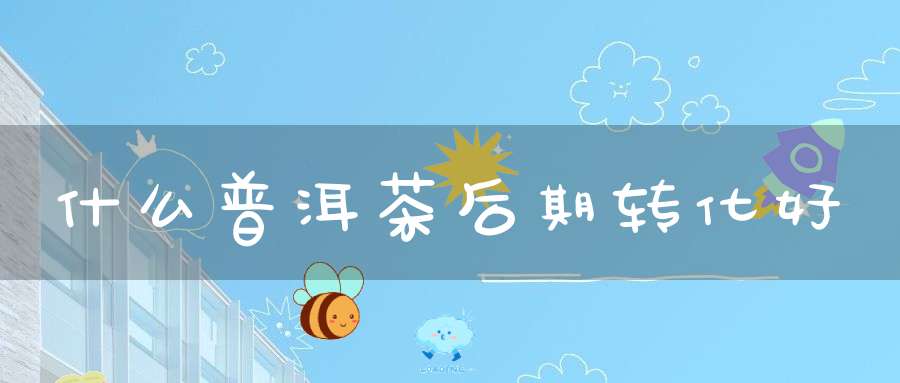 什么普洱茶后期转化好