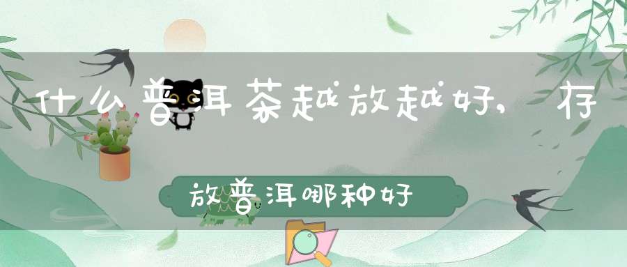 什么普洱茶越放越好,存放普洱哪种好