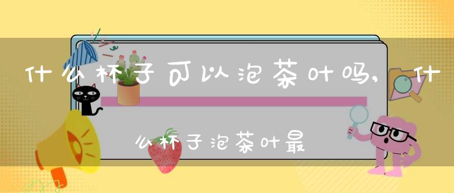 什么杯子可以泡茶叶吗,什么杯子泡茶叶最好